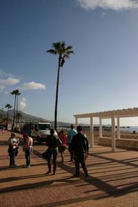 Fuengirola snoeiwerk op hoog niveau