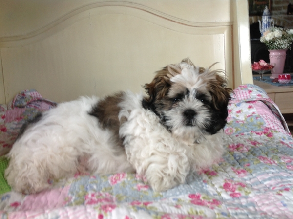 Nono de eerste keer in zijn mandje