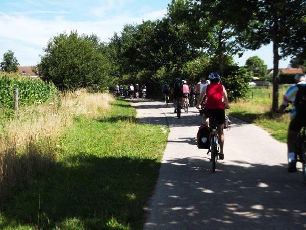 2013-08-04_BWU_Lokeren_1545