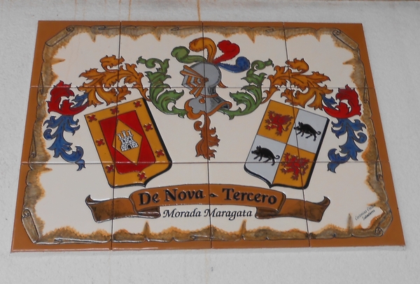 Hosta Morada Maragata