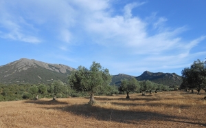 Montes de Toledo