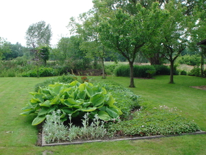 de achterzijde van de tuin