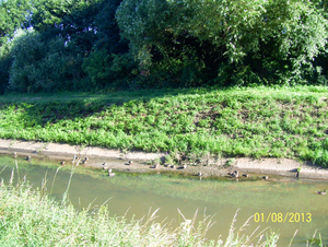 Wandelen langs Nekker - 1 augustus 2013