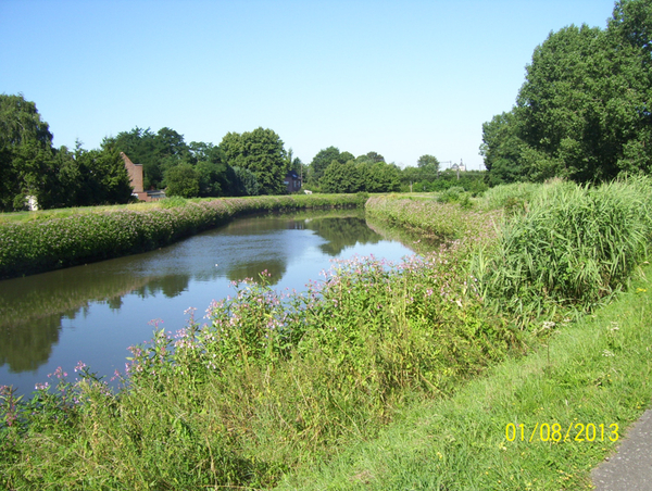 Wandelen langs Nekker - 1 augustus 2013