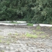 Zandbak