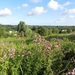 2013-08-03 Onkerzele 006