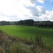 2013-08-03 Onkerzele 010