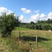 2013-08-03 Onkerzele 012