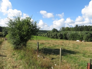 2013-08-03 Onkerzele 012