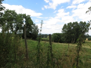 2013-08-03 Onkerzele 032