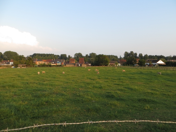 2013-08-06 Liedekerke 005