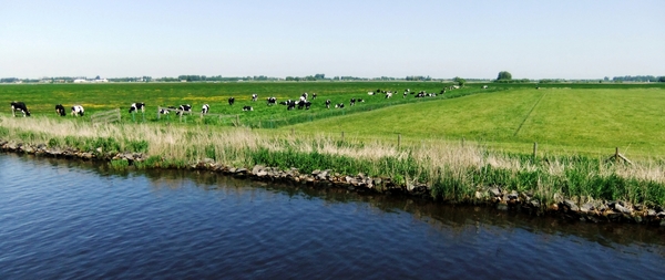 Gepensioneerdendag 2013 017