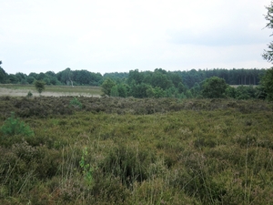 veel ruimte voor