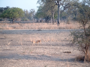 malawi 2003 014