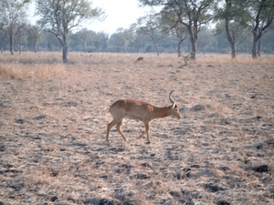 malawi 2003 015