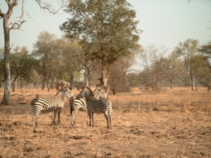 malawi 2003 017