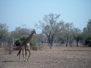 malawi 2003 019