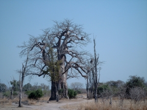 malawi 2003 020