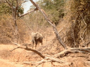 malawi 2003 021