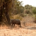 malawi 2003 022