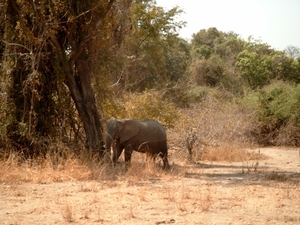 malawi 2003 022