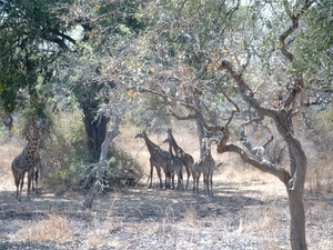 malawi 2003 024