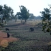 malawi 2003 027