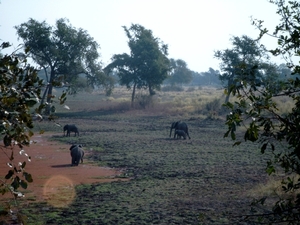 malawi 2003 027