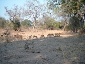 malawi 2003 028