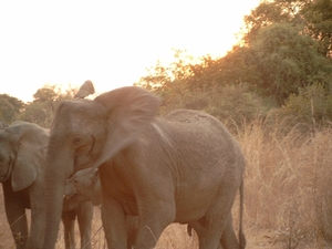 malawi 2003 031