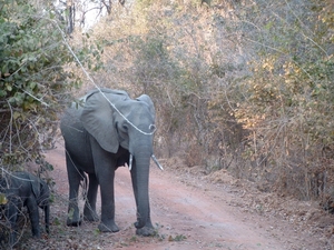 malawi 2003 032