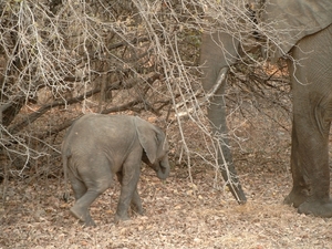 malawi 2003 033