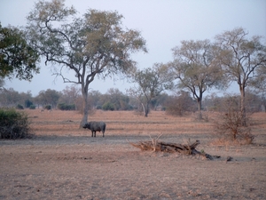 malawi 2003 036