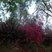 malawi 2003 047