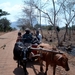 malawi 2003 076