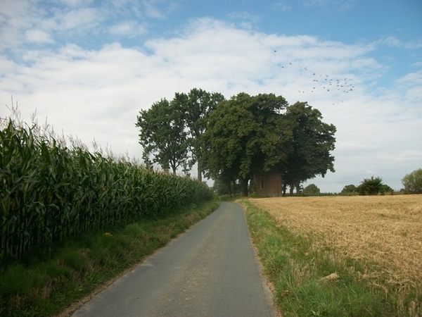 11-Op 80 m.hoge Saffelberg kapel -17 de e.