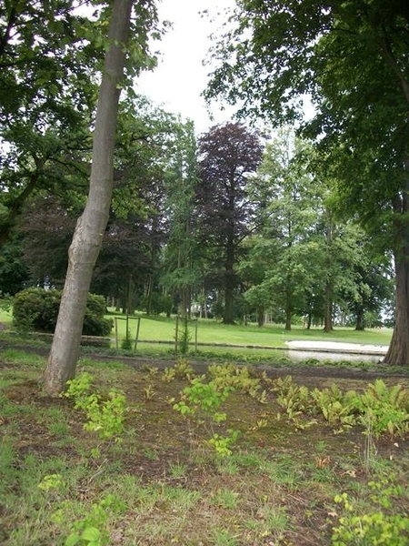 29-Domein Saffelberg