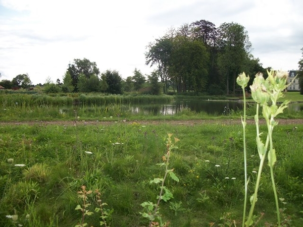 35-Vijver kasteel Saffelberg