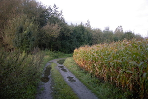 PIC_0105