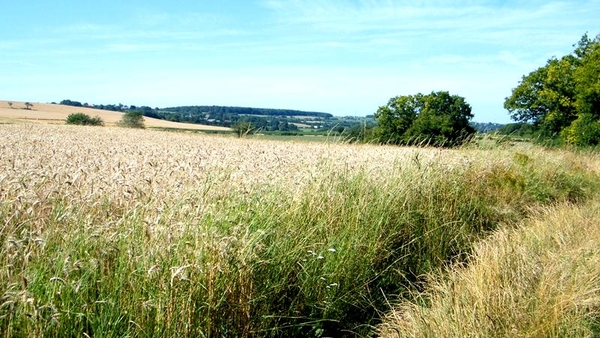 marche wandeling Panards Beauraing