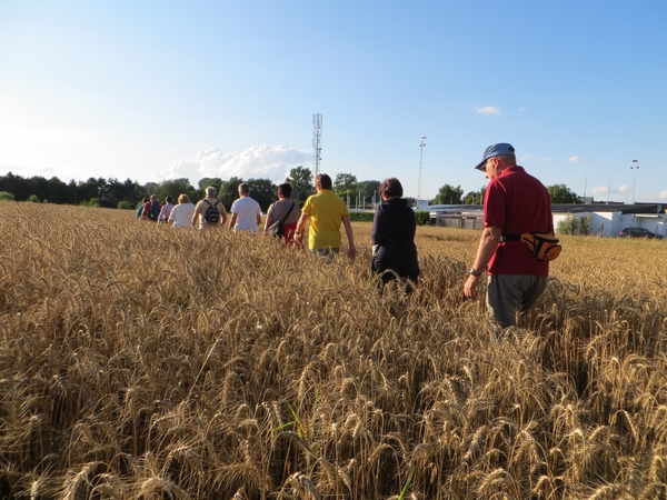 2013-08-13 Denderhoutem 006