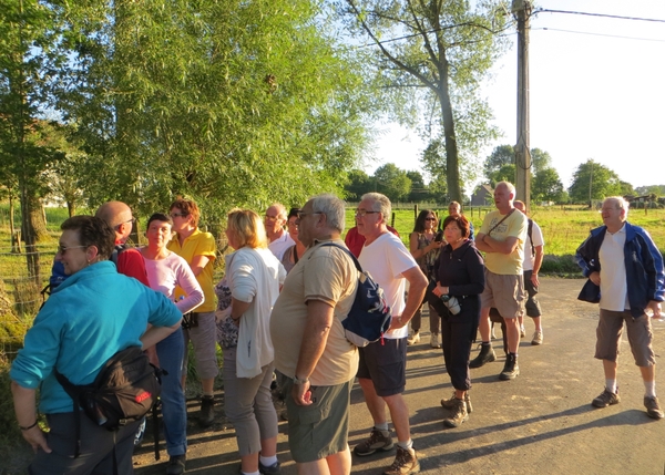 2013-08-13 Denderhoutem 007