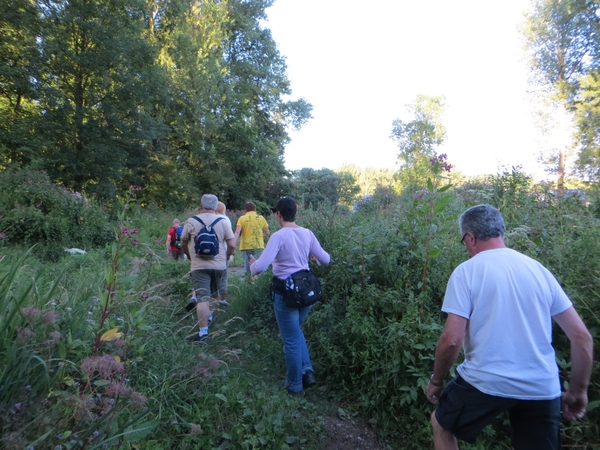 2013-08-13 Denderhoutem 008