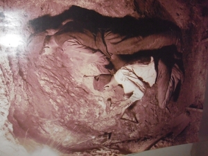 15-06-2012 italie (104)