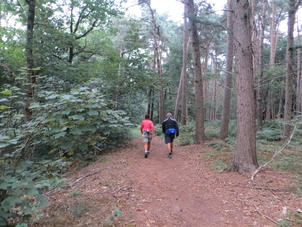 2013-08-15 Beernem 002