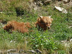 Zwitserland 2013