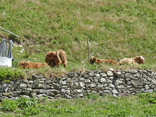 Zwitserland, Davos