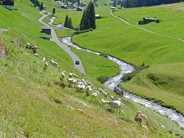 Zwitserland, Davos