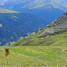Zwitserland 2013