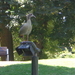 Wandelpark langs de Vesten